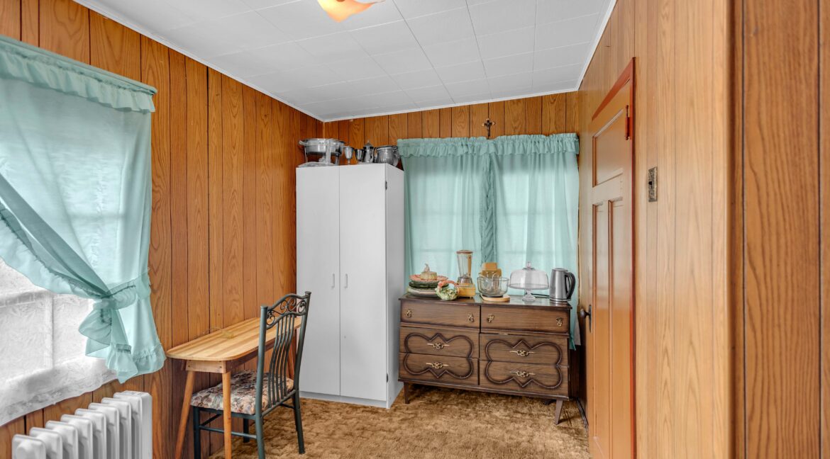 113 Sydenham St-18
