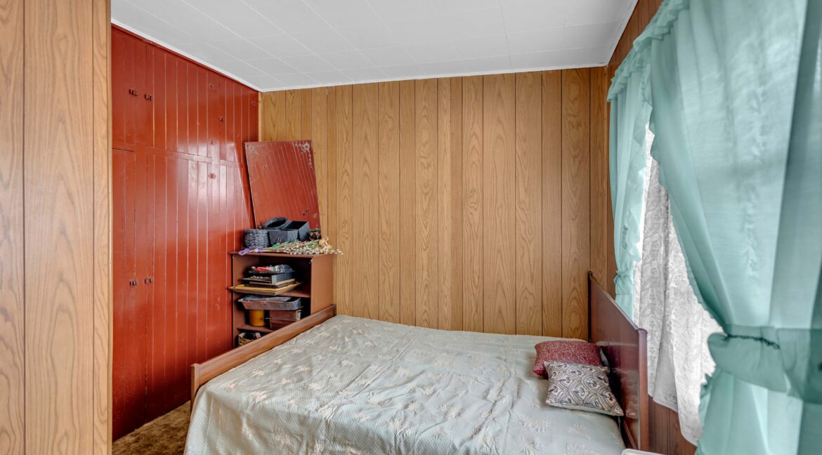 113 Sydenham St-19