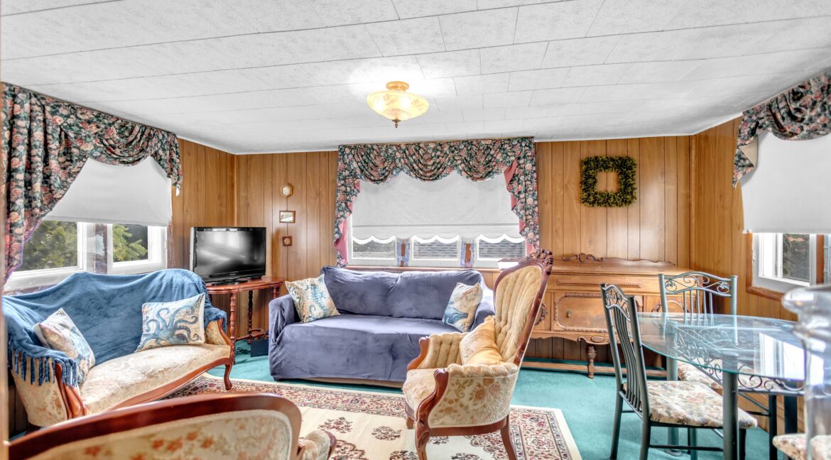 113 Sydenham St-28