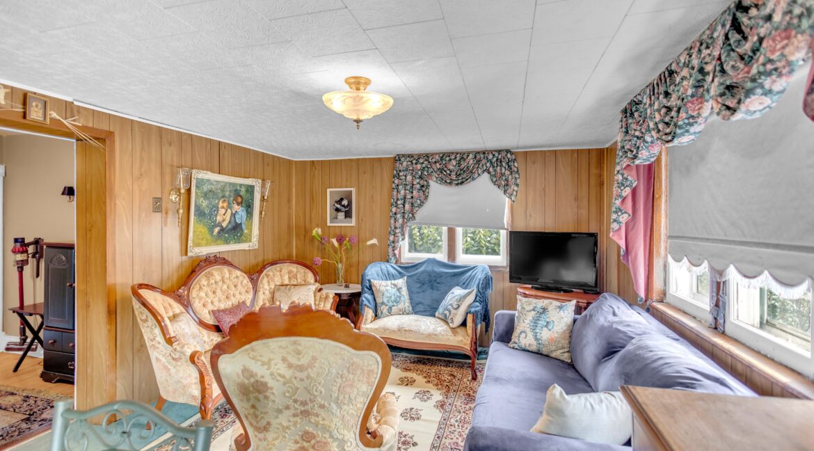 113 Sydenham St-29