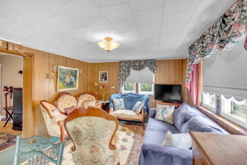 113 Sydenham St-29