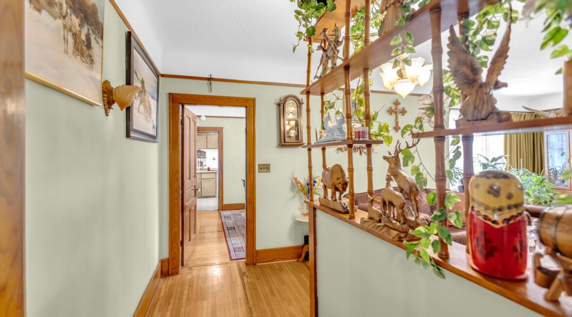 113 Sydenham St-8