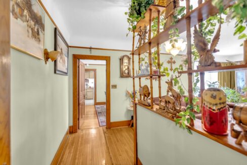 113 Sydenham St-8